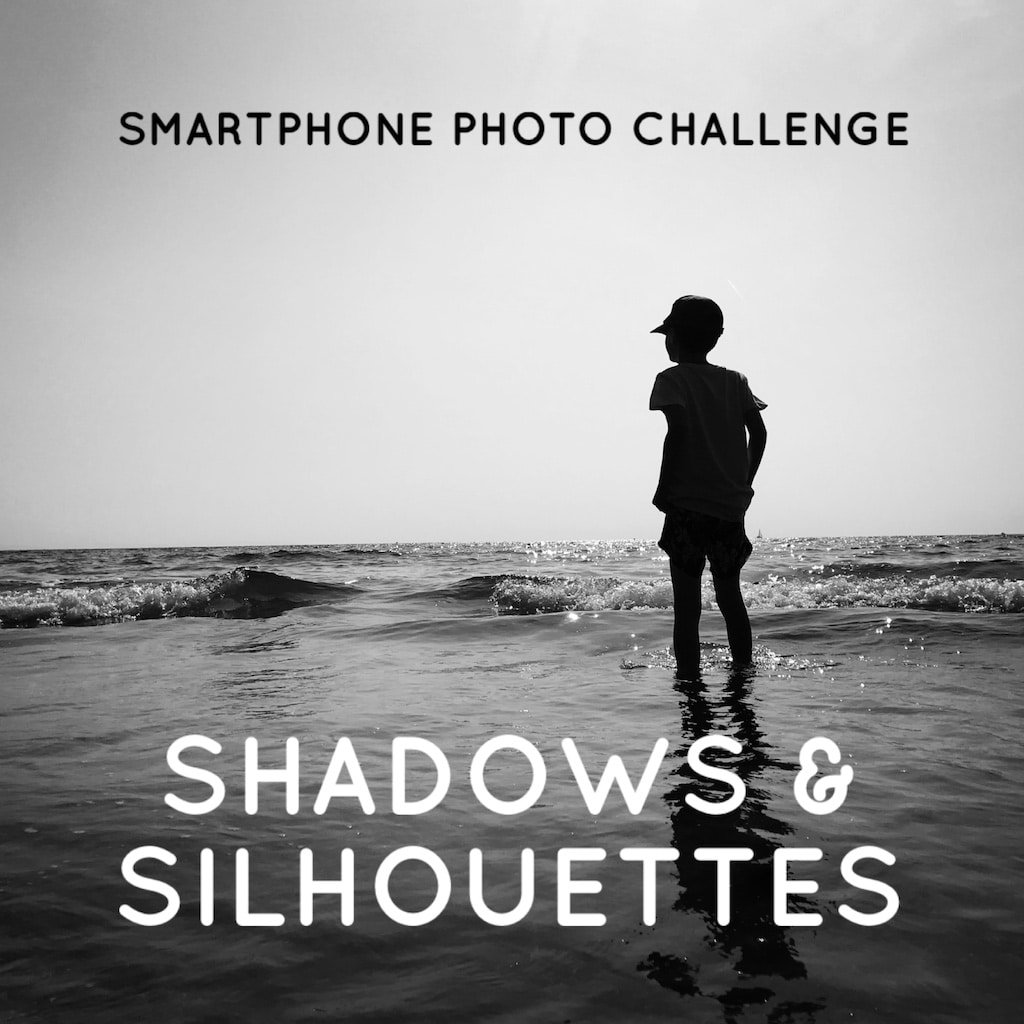 Shadows and Silhouettes