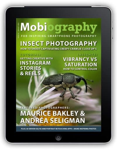 Issue 81 – August 2025