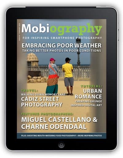 Issue 84 – February 2026