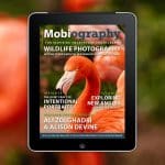 Out Now: August 2026 Issue Feat.​ Ali Zolghadri and Alison Devine, Plus Wildlife Photography