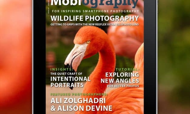Out Now: August 2026 Issue Feat.​ Ali Zolghadri and Alison Devine, Plus Wildlife Photography