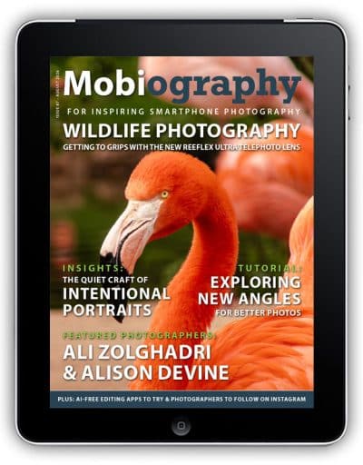 Issue 87 – August 2026